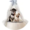 Global Pet Movers - AirPets India