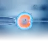 IVF Specialist in Delhi - Prime IVF Centre
