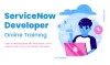Everything You Should Know About ServiceNow Developers
