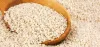 Best Sesame Exporters in India