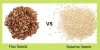 Flax Seeds Vs Sesame Seeds | Organic Products India