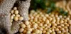 Best Combine Settings for Soybeans Harvesting?