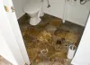 Water Damage Restoration in Pelham