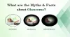 What are the Myths and Facts about Glaucoma?