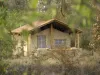 Jungle Safari Resorts  & Lodge  in India and Nepal - India Safaris