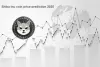 Shiba Inu coin price prediction 2025