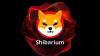 Shibarium Của Shiba Inu Vượt Mốc 300 Triệu Giao Dịch