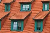 Metal Roof vs. Asphalt Shingle Roof : The Complete Guide - Harsh Knowledge - The Ultimate Source for Home Improvement, Digital Marketing, Business