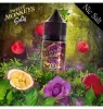 What are Nicotine Salts and What Should I Be Vaping?