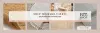 5 Top Varieties of Stylish and Trendy Rugs in Cork