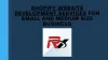 SHOPIFY WEBSITE DEVELOPMENT SERVICES FOR SMALL AND MEDIUM SIZE BUSINESS