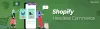 An Extensive Guide to go Headless with Shopify Headless Commerce