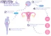 Best IVF Treatment cost in india - Dr. Kaushiki Dwivedee