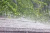 Steps to Take When Your Roof Is Impacted By Spring Storms