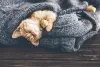 How Much Sleep Do You Need? A Guide to Sleep Amounts by Age | Layla Sleep