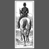 SIDESADDLE HACK TILE