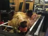 Hog roast hire