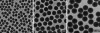 Silica Particles - CD Bioparticles