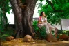 Silk Sarees