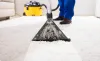 Best Carpet Cleaning Services In Auckland