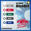 black belt six sigma