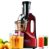 Advantages Of Using A Masticating Juicing Machine