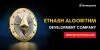 Ethash Algorithm Development Company - Developcoins