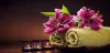 Full Body to Body Massage in Saket, Delhi Ncr by Female to Male