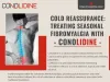 Cold Reassurance: Treating Seasonal Fibromyalgia with Conolidine PowerPoint Presentation - ID:12863779