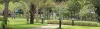 Landscaping Gardening Landscape Designing Architecture Garden Designing Plants Nursery Services Bangalore India - Garden World