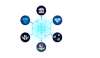 Blockchain Development Company India | Cryptocurrency Development Company India