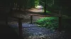 Jose de la Cruz Landscaping - Patios, Grading, Trees, Drainage