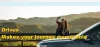 Hire driver in Behala, Best car driver in thakur Pukur, Best driver service center agency in Sursuna