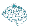 IT Consulting Services - BrainCave Soft