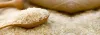 Exporters in India | International Business Consultant