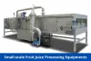 Can I start small-scale fruit juice processing for our business?