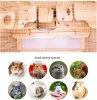 Small Animal Habitats and Cages
