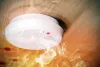 Wireless Fire Alarm Systems Uk