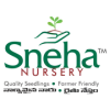 Buy the plants from Sneha nursery | Best plants nursery in Hyderabad