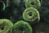 sngine_1b864137201a87d4402b5352579efe42.jpg
