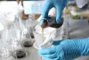 Professional Mold Removal Service for a Healthier Home