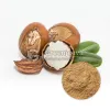 soapnut powder, soap nuts bulk, soap nuts extract, soap nuts bulk suppliers, organic soapnut powder, wholesale herbal extracts, herbal extracts wholesale, botanical extracts wholesale, athletic performance, health and wellness