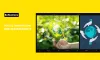 Exploring the Intersection of Social Innovation and Sustainability