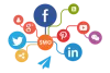 Digital Marketing Services : Tri-force provides the SEO/SMM @Low Cost