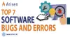 Software bugs