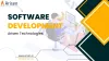 software development