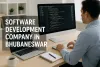 software_development_company_bhubaneswar.png