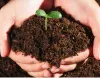 Crop requirements for the main characteristics of the soil