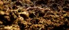 The Role of Soil Respiration Tests in Carbon Sequestration and Climate Change