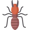 Urban Pest Control Services